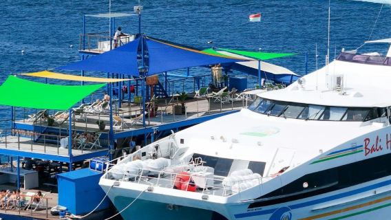 Lembongan Island Reef Cruise