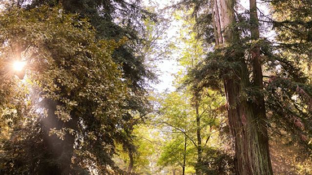 Quinta da Aveleda: Estate Tour with Green Wine Tasting