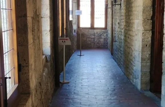 阿納尼博尼法爵八世宮殿：入場門票