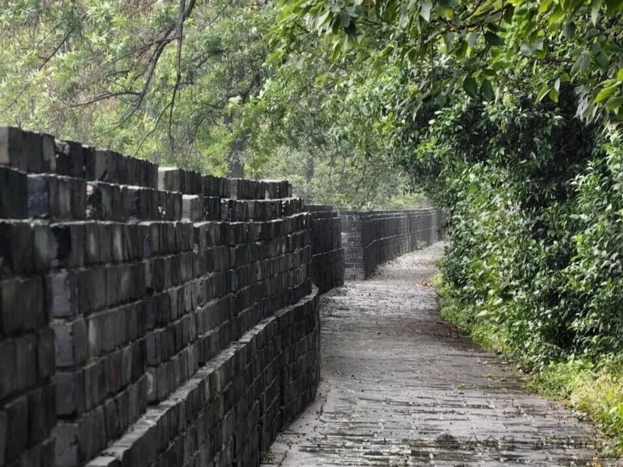 張居正故居+荊州古城牆+荊州博物館+荊州楚王車馬陣包車一日遊