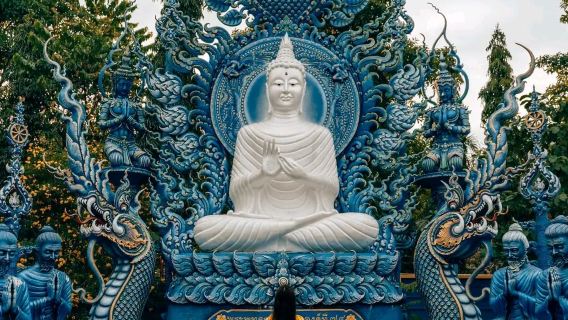 Tour di un giorno a Chiang Rai: Templi Bianco, Nero e Blu, Villaggio delle Donne Giraffa e Parco Singha