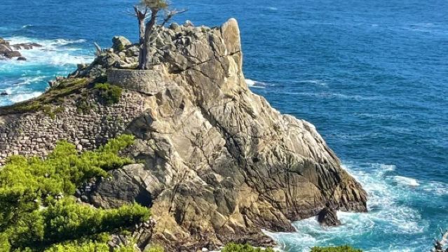 美國三藩市-經典一號公路-蒙特雷-丹麥村-洛杉磯-包車-精選