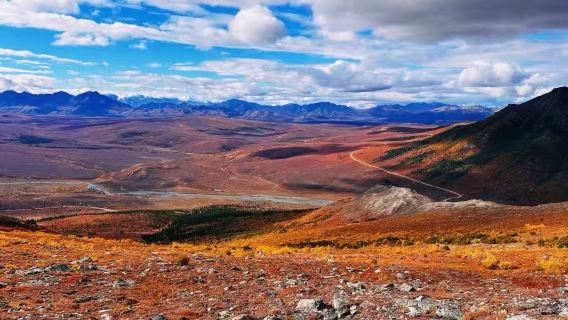 美國費爾班克斯迪納利國家公園+尼納納小鎮【中文私享定制包車】