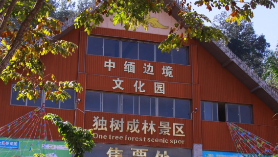 【中緬邊境純玩包車】勐景來+獨樹成林+打洛國門·一單一團