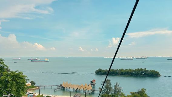 Singapore - Gardens by the Bay - Duck Tour - Zoo [City Pickup Service]