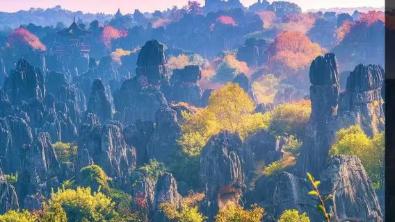 Kunming round-trip: Shilin + Jiuxiang 1-day tour | Optional guides in Chinese, English, and other languages - Foreign guests welcome