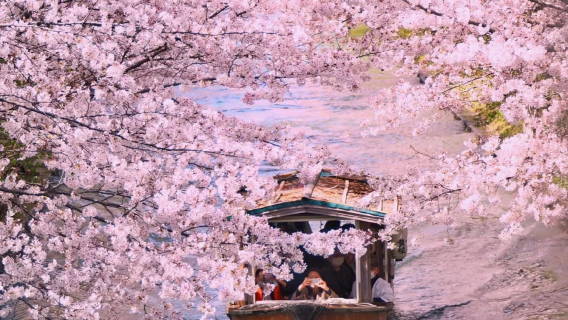 Day Tour from Osaka: Fushimi Jikkokubune Boat + Fushimi Inari Taisha + Keage Incline