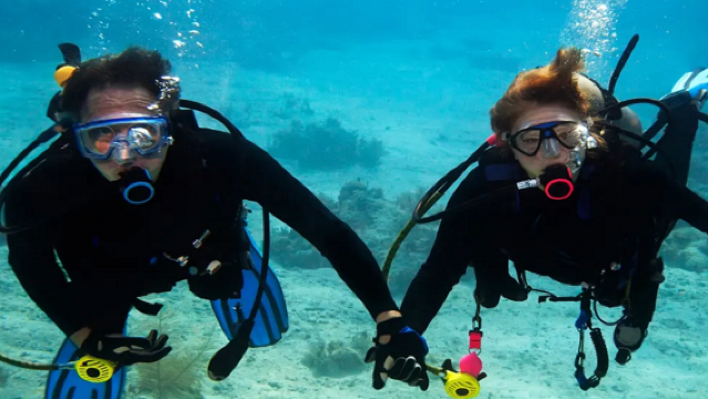 アラブ首長国連邦ドバイ ScubaDive.ae+ジュメイラパブリックビーチ体験ダイビングスキューバダイビング0.5時間【ドバイスキューバダイビング体験】