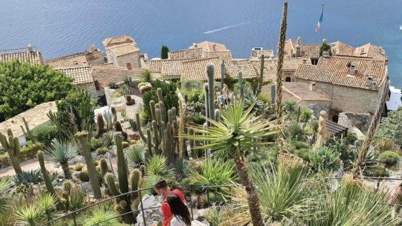 法國尼斯-戛納-格拉斯-聖保羅德旺斯【中文專車-愜意舒適】