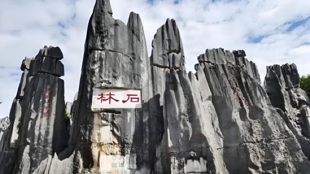 Rekomendasi Terbaik Kunming: Tur Grup Kecil Sehari dalam Bahasa Inggris ke Hutan Batu dan Danau Dianchi