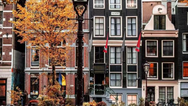 荷蘭阿姆斯特丹運河+馮德爾公園+梵高博物館【私家訂製包車】