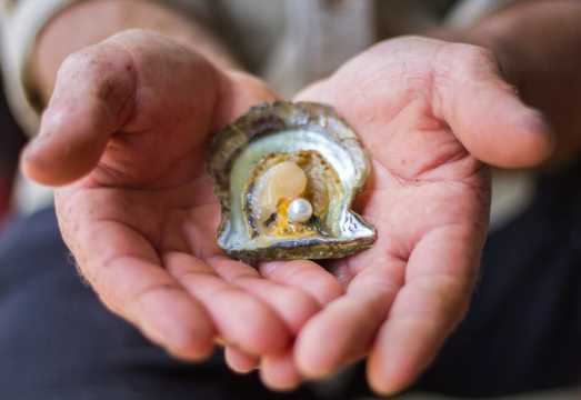 Pearl Grading Masterclass