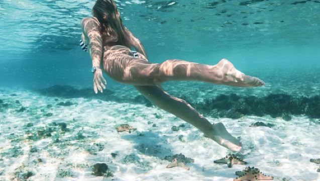 Tur melompat pulau Komodo Indonesia|Pilihan tur matahari terbenam 3 pemandangan, perjalanan satu hari 6 pemandangan, tur sehari penuh 8 pemandangan