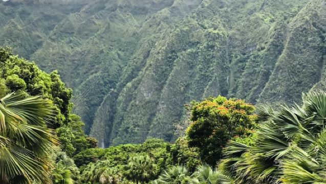 美國+夏威夷火山國家公園+普納魯吾黑沙灘+冒納羅亞火山 中文包車