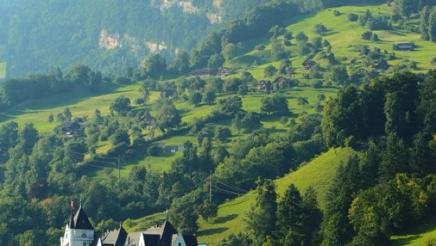 蘇黎世包車一日遊 盧塞恩湖/萊茵瀑布/市內精華 純玩無購物