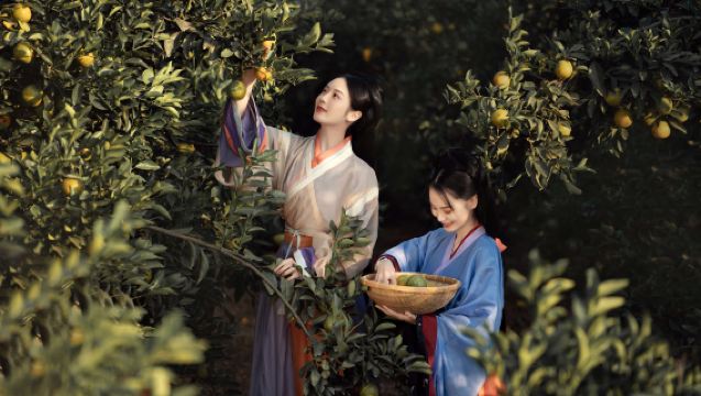 Hutubi trip moments[Travel photo shooting services including photos, short videos, wedding photography and videography, promotional videos, portraits, wedding photos with all raw images provided]