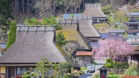 大阪出發 美山茅葺之里+天橋立纜車+伊根遊覧船一日遊