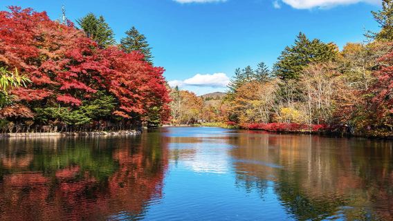 Lawatan Sehari Karuizawa: Jalan Ginza Karuizawa Lama + Kolam Kumoba