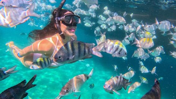Angra dos Reis: A unique experience in paradise