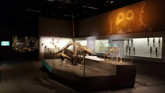 Tiket Masuk Lee Kong Chian Natural History Museum, Singapura