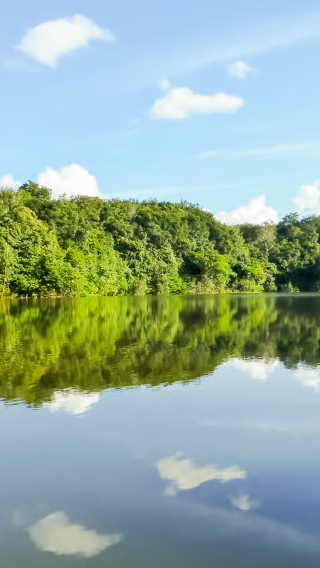 Round-trip jungle adventure tour in the Amazon from Manaus with deep jungle exploration and meeting of the waters