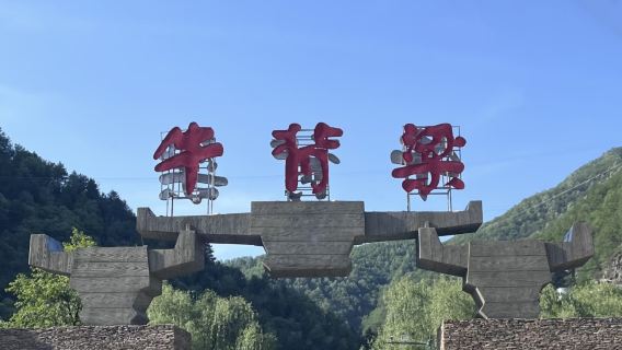 【山野尋趣】牛背梁森林公園標準跟團一日遊(接駁車/周邊精選）
