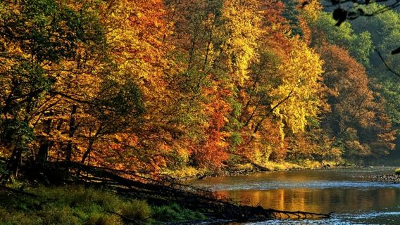 Kraków: Dunajec Nehri'nde Sal Turu, Gidiş-Dönüş Aktarma + Öğle Yemeği