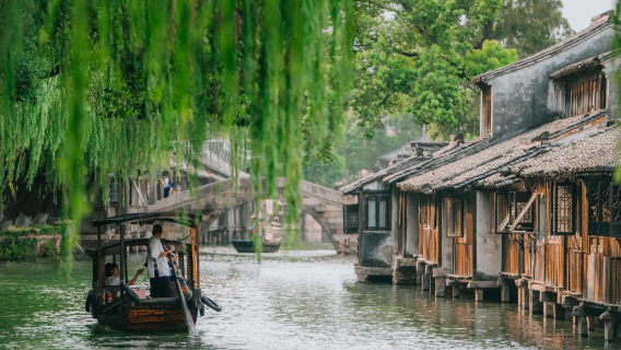 From Shanghai: Wuzhen Dongzha and Xizha immersive water town private charter 1-day tour