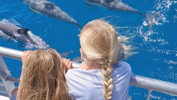 Nya Zeelands Auckland val- och delfinskådning till ön MAN OWAR BAY