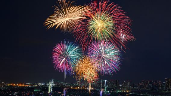 Asiento especial en el barco «Symphony Cruise» para ver desde la cubierta el Gran Festival de Fuegos Artificiales de la Bahía de Tokio | Excursión de un día