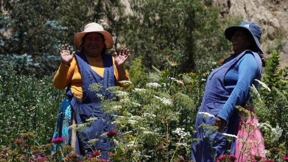 La Paz Valley of the Flowers Tour: ATV & Community Experience