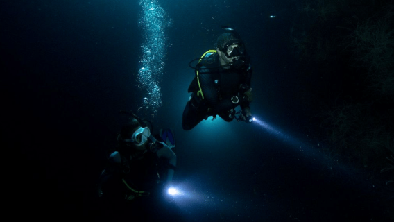 Night Dive Adventure in Mirissa: Discover the Dark Reef