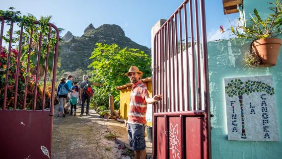 Tenerife: Discover the only vanilla cultivation in Canaries