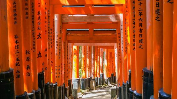 Private charter with driver in Nagano, Japan◇Nagano private charter to Matsumoto, Gunma, Shizuoka, Tokyo, Karuizawa, Shiga Kogen hotels|Chinese-speaking service+professional driver+door-to-door transfer+itinerary