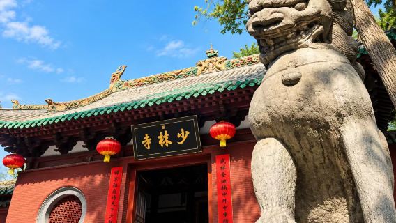 Watch Wushu Performance | Songshan Shaolin Temple & Longmen Grottoes Day Tour | Optional Paid Upgrade to Mercedes‑Benz group| 15‑Person Premium Small Group Available