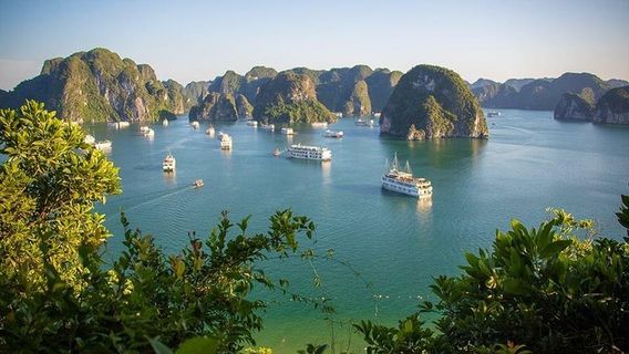 HaiphongTours