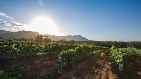 Hunter Valley one-day tour from Sydney, Australia