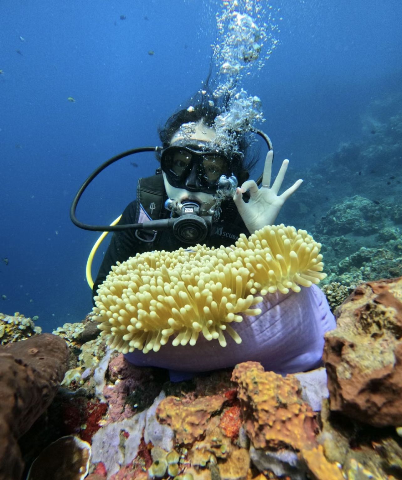 印尼峇里島圖蘭奔體驗潛水自由潛1天【珊瑚花園+自由號沉船、專業教練帶潛、含午餐、專車接送】
