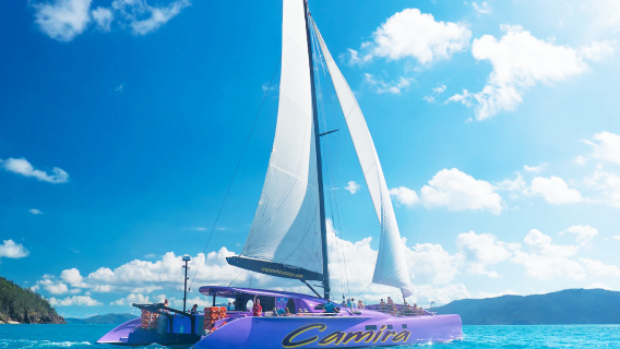 Airlie BeachTours
