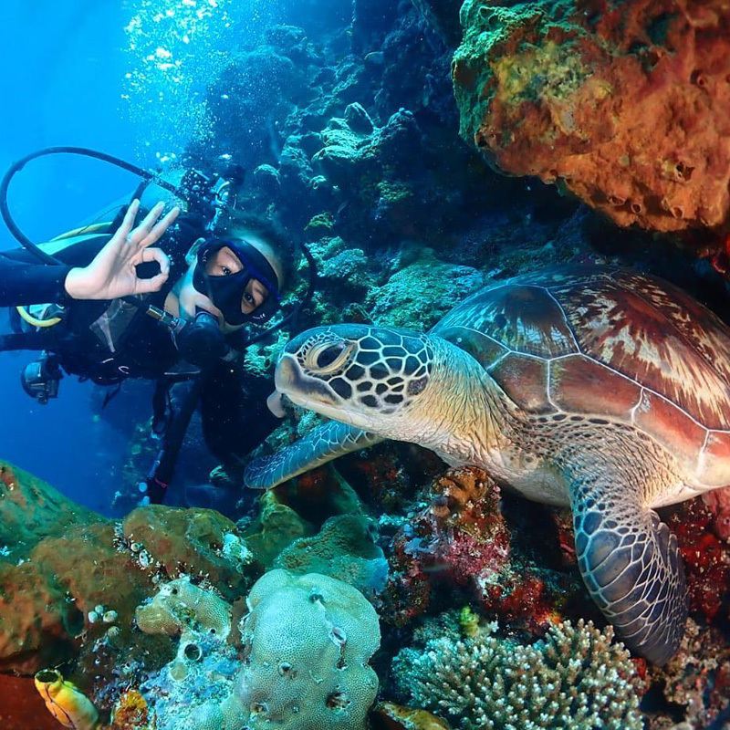 1-Day Diving Experience in Phuket, Thailand [Diving at Phi Phi Islands + Professional Certification + Deep Diving/Introductory Diving + Optional King Cruiser Wreck Dive]