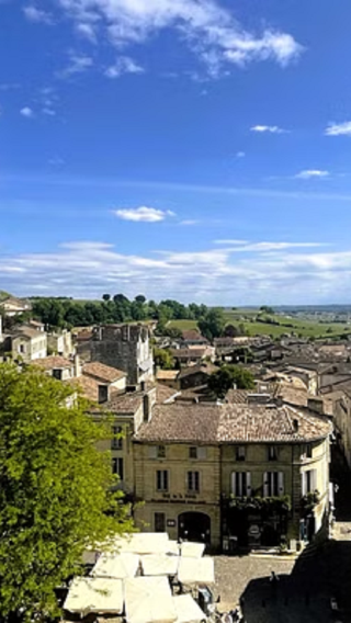 Half-Day Bordeaux Saint-Émilion Wine Tour [Wine Journey/Chateau Cellar Visit/Bus]