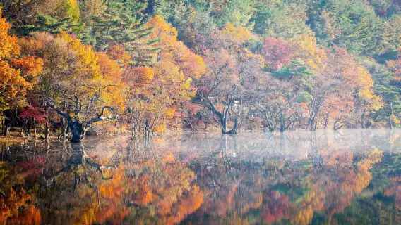 周王山國立公園 + 注山池水庫一日遊 (秋天賞楓 / 釜山出發)