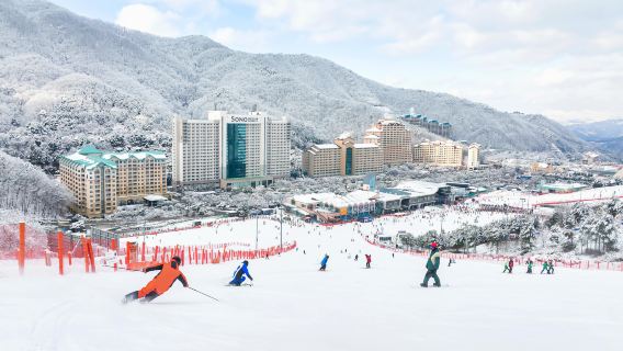 Vivaldi Park Winter Ski Resort + Nami Island Day Tour (From Seoul, Ski Snowboard Sled, with Clothes & Basic Lesson)
