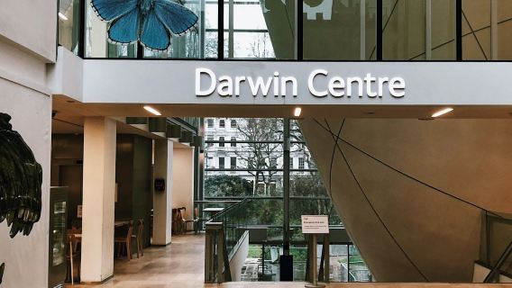 Natuurhistorisch Museum Londen: Semi-privé rondleiding