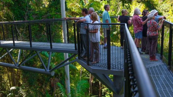 Tamborine Mountain: Hop-on Hop-off Bus from Brisbane