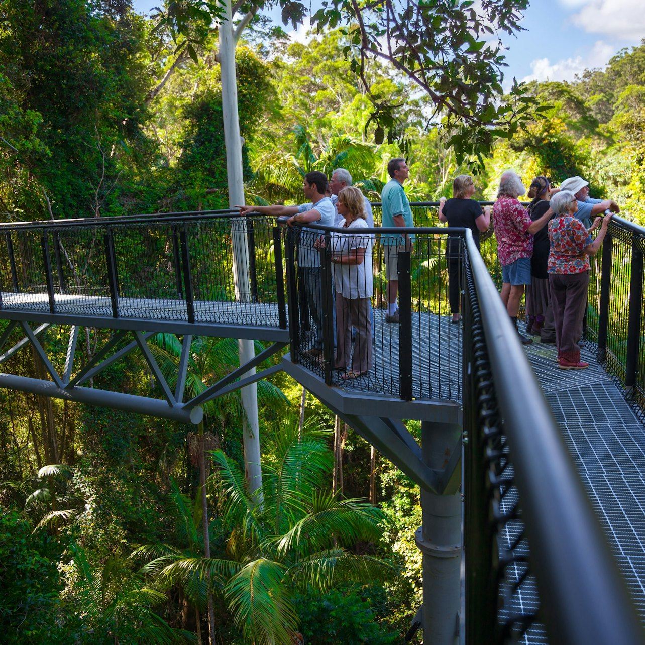 Tamborine Mountain: Hop-on Hop-off Bus from Brisbane