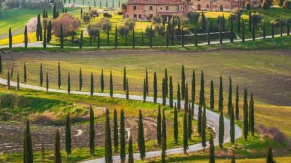 Montalcino: tour di degustazione vini da San Gimignano