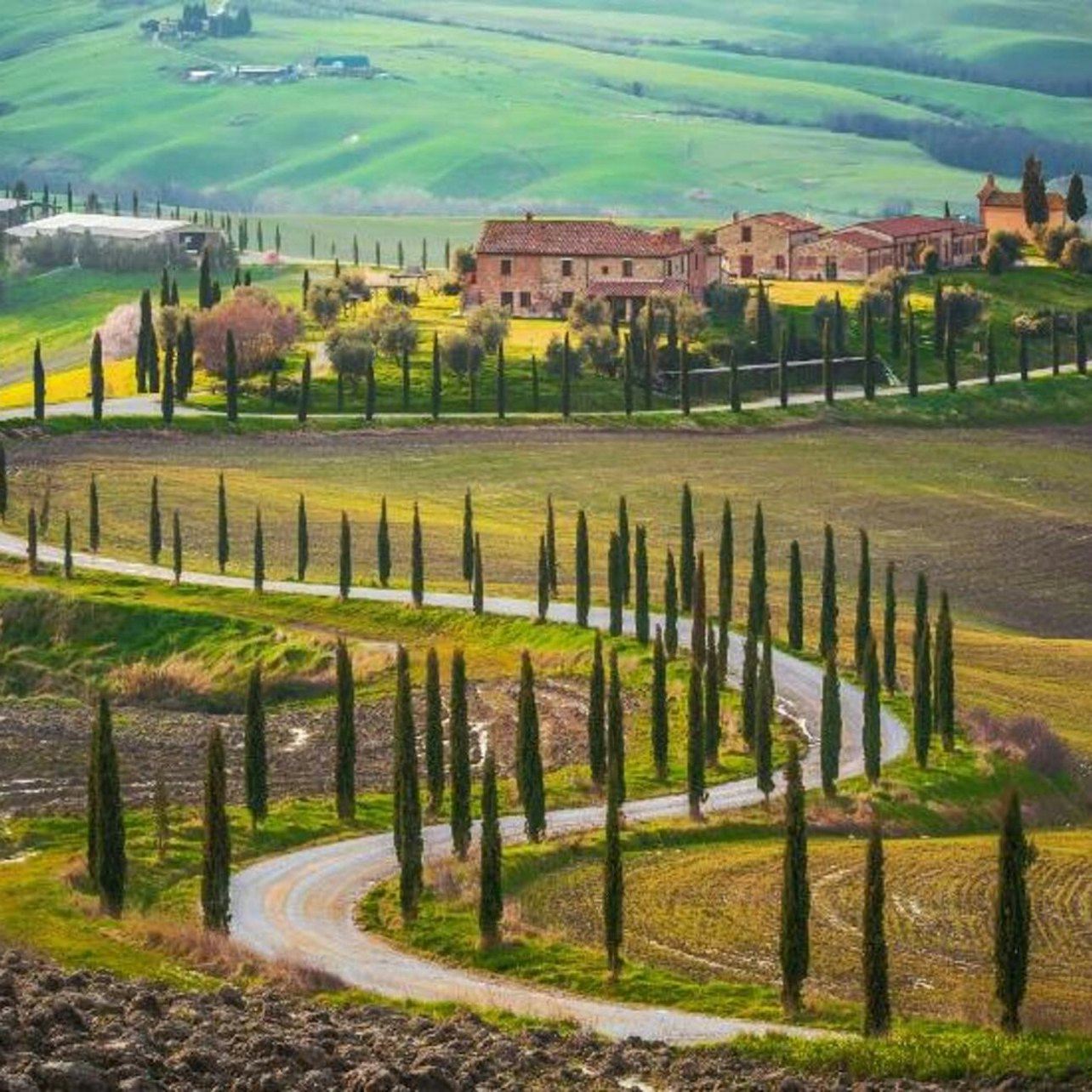 Montalcino: tour di degustazione vini da San Gimignano