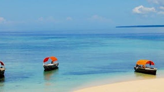 Zanzibar CityExperiences