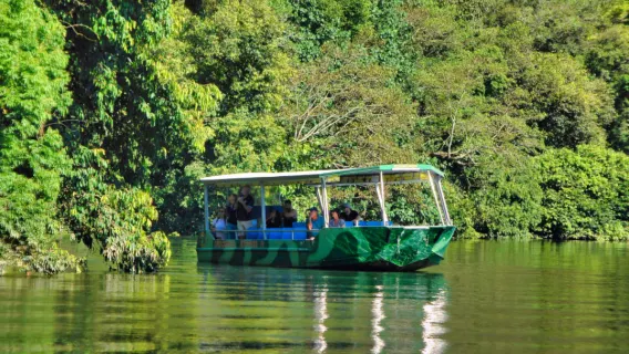 Australia Cairns Daintree Rainforest + Mossman Gorge Cultural Centre + Cape Tribulation 1-day tour with English-speaking guide and lunch included